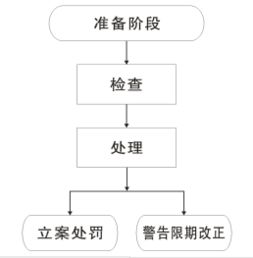 計(jì)劃生育技術(shù)服務(wù)工作定期檢查流程圖解析及網(wǎng)絡(luò)技術(shù)服務(wù)支撐